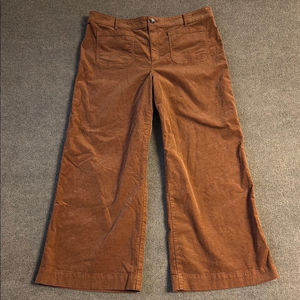 Ann Taylor LOFT Palmer Wide Leg Pants In Brushed Corduroy sz 16 Brown NWOT
